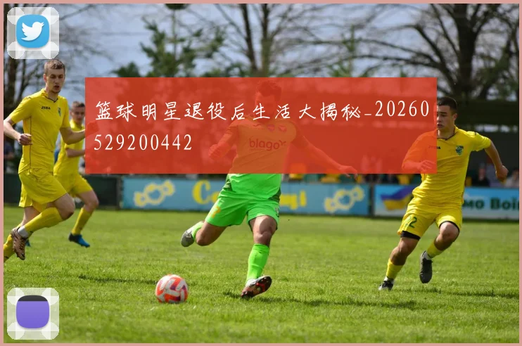 篮球明星退役后生活大揭秘_20260529200442